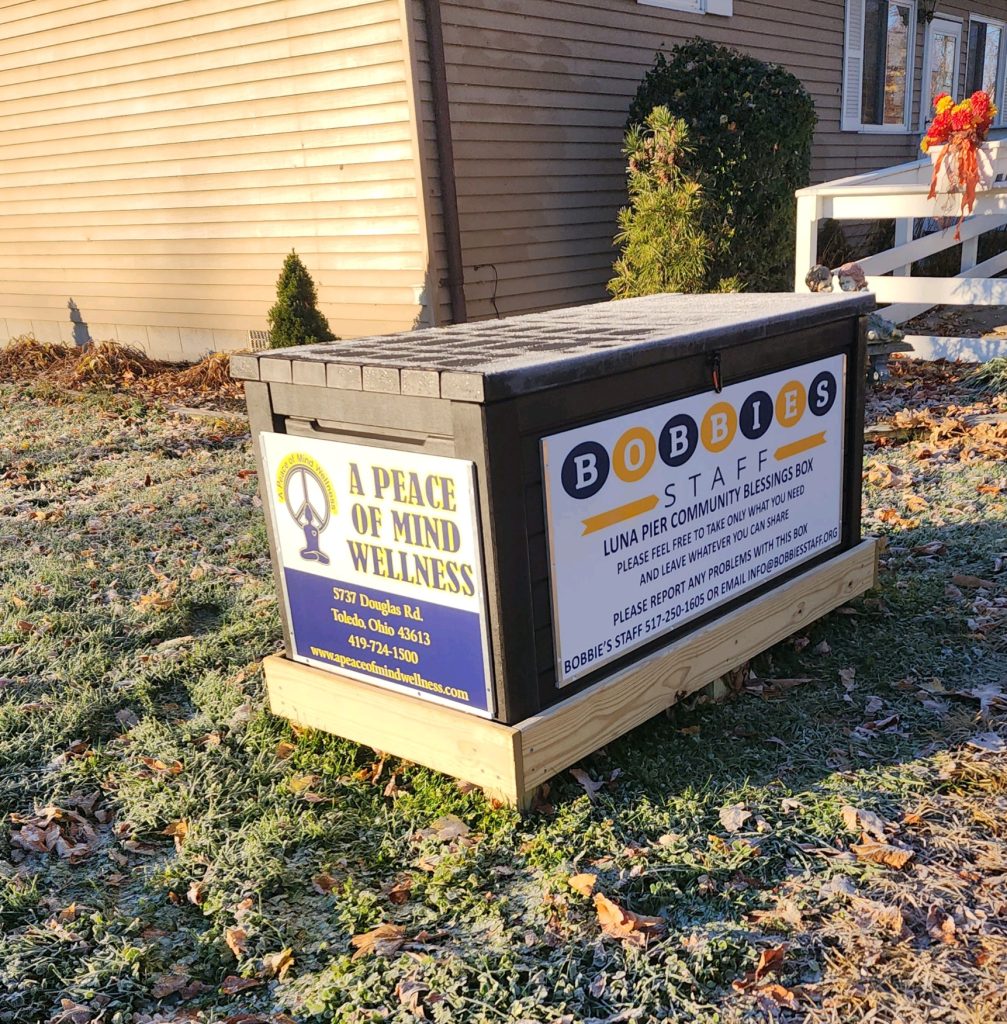 The blessing box outside the Luna Pier branch library
